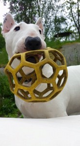 boll